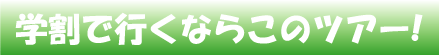 学割で行くならこのツアー !
